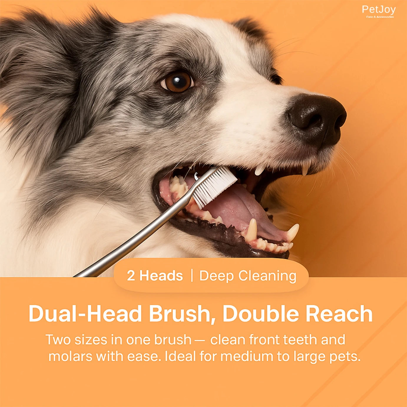 PetJoy 3-in-1 Dog Oral Care Kit | Mint Flavor Toothpaste (95g), Dual-Headed Toothbrush Pet Toothbrush (Dog)