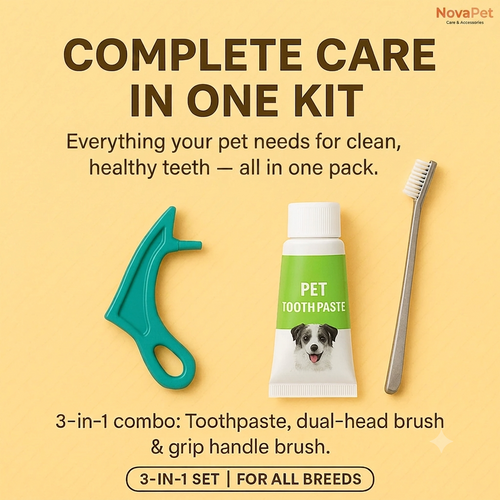 PetJoy 3-in-1 Dog Oral Care Kit | Mint Flavor Toothpaste (95g), Dual-Headed Toothbrush Pet Toothbrush (Dog)